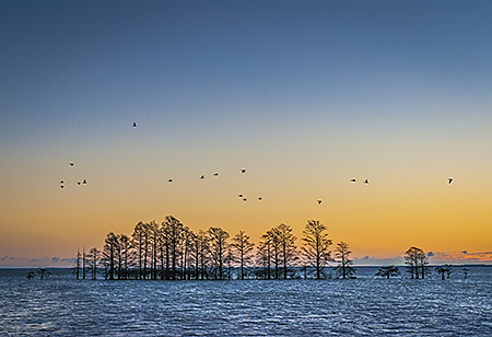 Before the Sunrise at Mattamuskeet NWR, NC